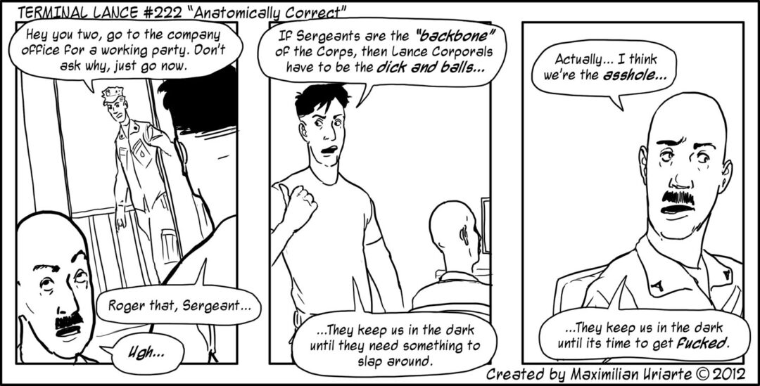 Terminal Lance #222 “Anatomically Correct”